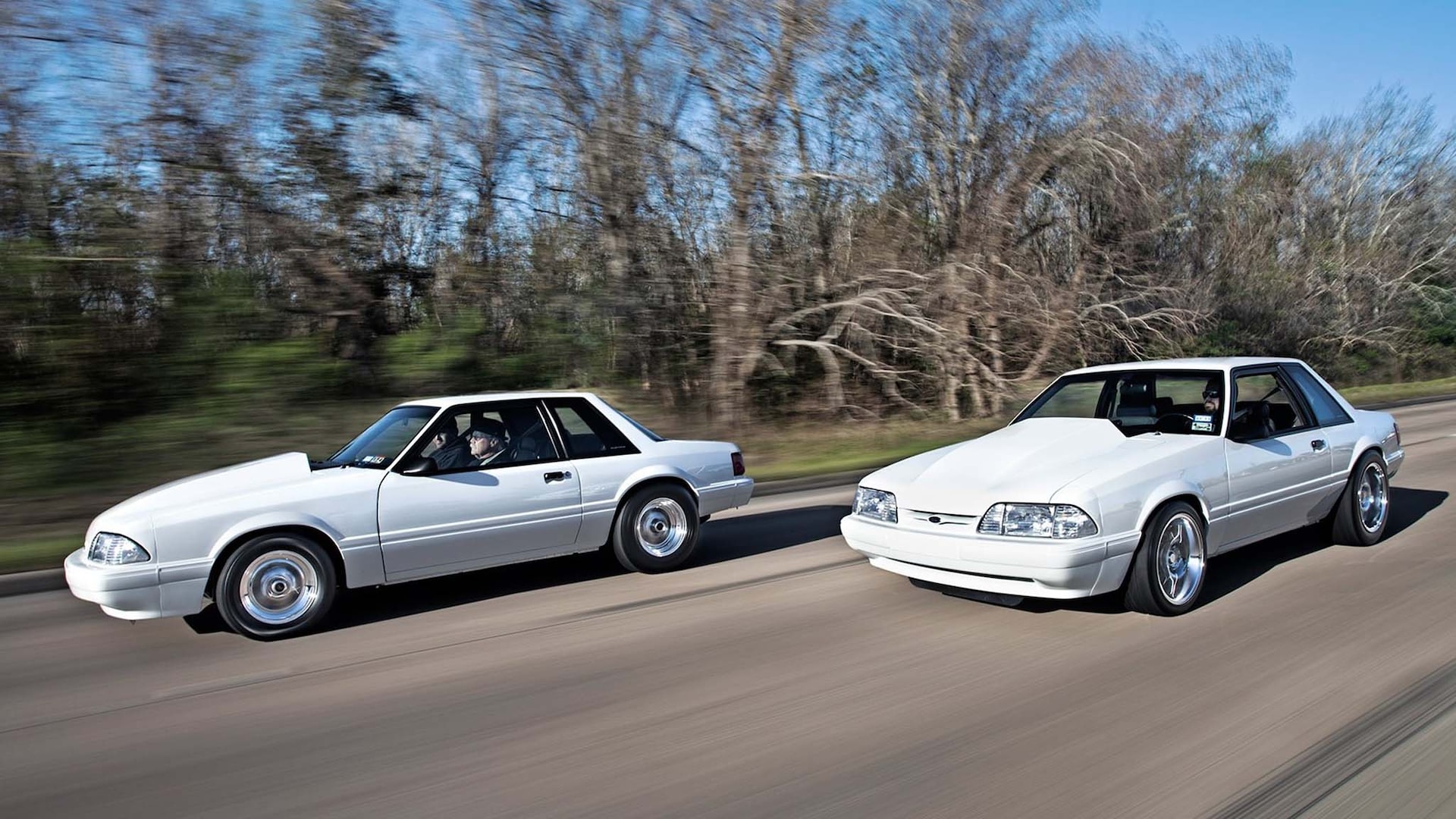 008 twin ford mustang notchback mustangs white