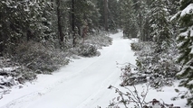 Nexen a través de la nieve: prueba de neumáticos Nexen Roadian MTX en Oregón