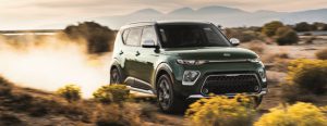 Lee más sobre el artículo Los 10 mejores coches para los amantes de los perros